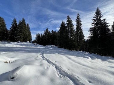İsviçre Alpleri 'nin taze dağlık kar örtüsünde ve İsviçre' nin Grisonlar Kantonu (Kanton Graubuenden, Schweiz)