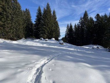 İsviçre Alpleri 'nin taze dağlık kar örtüsünde ve İsviçre' nin Grisonlar Kantonu (Kanton Graubuenden, Schweiz)