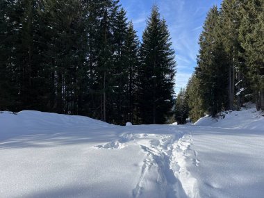 İsviçre Alpleri 'nin taze dağlık kar örtüsünde ve İsviçre' nin Grisonlar Kantonu (Kanton Graubuenden, Schweiz)