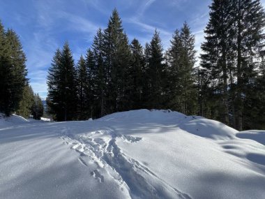 İsviçre Alpleri 'nin taze dağlık kar örtüsünde ve İsviçre' nin Grisonlar Kantonu (Kanton Graubuenden, Schweiz)