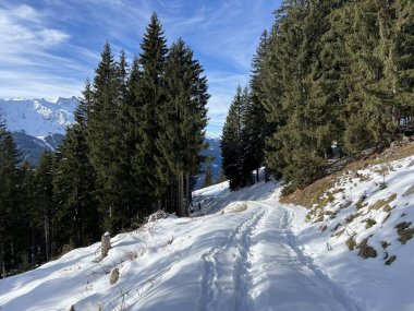 İsviçre Alpleri 'nin taze dağlık kar örtüsünde ve İsviçre' nin Grisonlar Kantonu (Kanton Graubuenden, Schweiz)