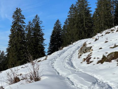 İsviçre Alpleri 'nin taze dağlık kar örtüsünde ve İsviçre' nin Grisonlar Kantonu (Kanton Graubuenden, Schweiz)