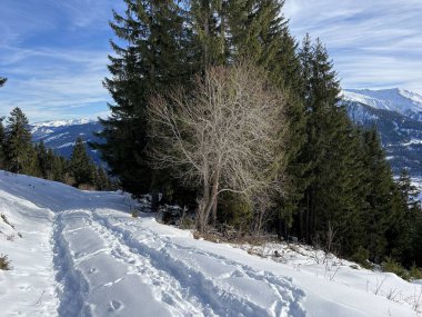 İsviçre Alpleri 'nin taze dağlık kar örtüsünde ve İsviçre' nin Grisonlar Kantonu (Kanton Graubuenden, Schweiz)