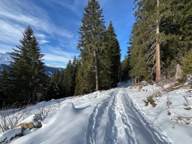 İsviçre Alpleri 'nin taze dağlık kar örtüsünde ve İsviçre' nin Grisonlar Kantonu (Kanton Graubuenden, Schweiz)