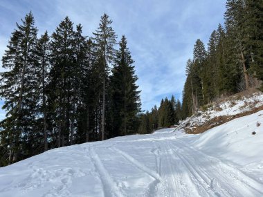 İsviçre 'nin Arosa Kantonu (Kanton Graubuenden, Schweiz)
