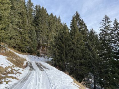 İsviçre 'nin Arosa Kantonu (Kanton Graubuenden, Schweiz)