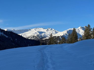 İsviçre 'nin Arosa Kantonu (Kanton Graubuenden, Schweiz) üzerinde güneşli ve karla kaplı güzel alp zirveleri.)
