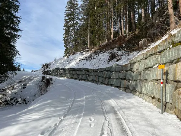 İsviçre 'nin Arosa Kantonu (Kanton Graubuenden, Schweiz)