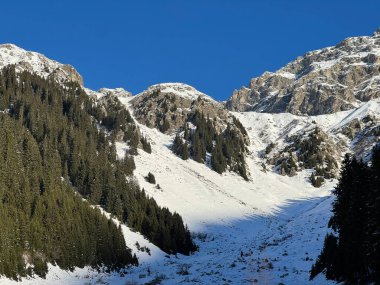 İsviçre Alplerinde tipik bir kış atmosferindeki alp ağaçlarının resimli gölgeleri ve turizm beldesi Klosters - Kanton of Grisons, İsviçre (Kanton Graubuenden, Schweiz)