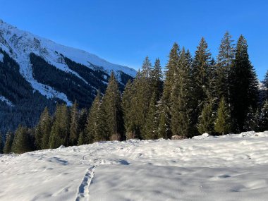 İsviçre Alplerinde tipik bir kış atmosferindeki alp ağaçlarının resimli gölgeleri ve turizm beldesi Klosters - Kanton of Grisons, İsviçre (Kanton Graubuenden, Schweiz)