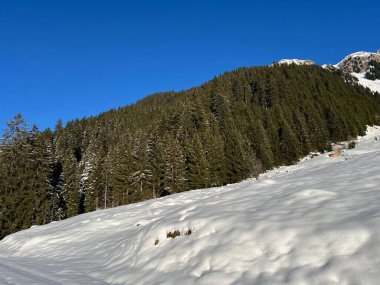 İsviçre Alplerinde tipik bir kış atmosferindeki alp ağaçlarının resimli gölgeleri ve turizm beldesi Klosters - Kanton of Grisons, İsviçre (Kanton Graubuenden, Schweiz)
