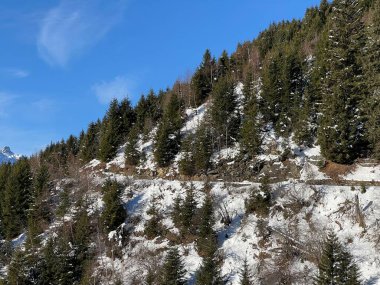 İsviçre Alplerinde tipik bir kış atmosferindeki alp ağaçlarının resimli gölgeleri ve turizm beldesi Klosters - Kanton of Grisons, İsviçre (Kanton Graubuenden, Schweiz)
