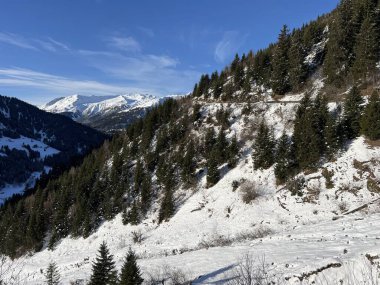 İsviçre Alplerinde tipik bir kış atmosferindeki alp ağaçlarının resimli gölgeleri ve turizm beldesi Klosters - Kanton of Grisons, İsviçre (Kanton Graubuenden, Schweiz)