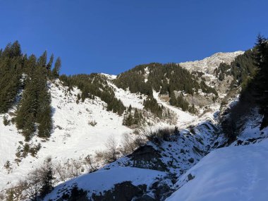 İsviçre Alplerinde tipik bir kış atmosferindeki alp ağaçlarının resimli gölgeleri ve turizm beldesi Klosters - Kanton of Grisons, İsviçre (Kanton Graubuenden, Schweiz)