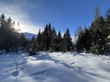 İsviçre Alplerinde tipik bir kış atmosferindeki alp ağaçlarının resimli gölgeleri ve turizm beldesi Klosters - Kanton of Grisons, İsviçre (Kanton Graubuenden, Schweiz)