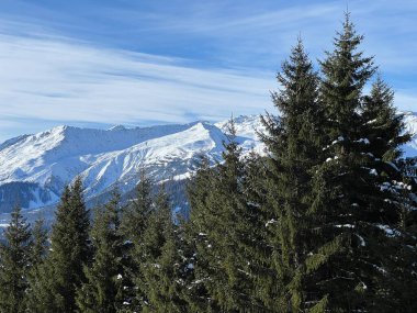 İsviçre Alplerinde tipik bir kış atmosferindeki alp ağaçlarının resimli gölgeleri ve turizm beldesi Klosters - Kanton of Grisons, İsviçre (Kanton Graubuenden, Schweiz)