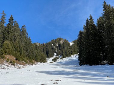 İsviçre Alplerinde tipik bir kış atmosferindeki alp ağaçlarının resimli gölgeleri ve turizm beldesi Klosters - Kanton of Grisons, İsviçre (Kanton Graubuenden, Schweiz)