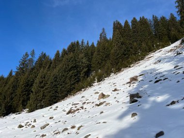 İsviçre Alplerinde tipik bir kış atmosferindeki alp ağaçlarının resimli gölgeleri ve turizm beldesi Klosters - Kanton of Grisons, İsviçre (Kanton Graubuenden, Schweiz)