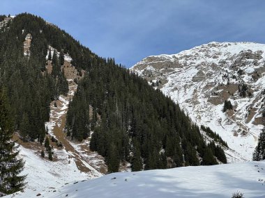 İsviçre Alplerinde tipik bir kış atmosferindeki alp ağaçlarının resimli gölgeleri ve turizm beldesi Klosters - Kanton of Grisons, İsviçre (Kanton Graubuenden, Schweiz)
