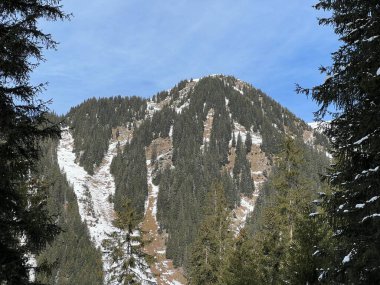 İsviçre Alplerinde tipik bir kış atmosferindeki alp ağaçlarının resimli gölgeleri ve turizm beldesi Klosters - Kanton of Grisons, İsviçre (Kanton Graubuenden, Schweiz)