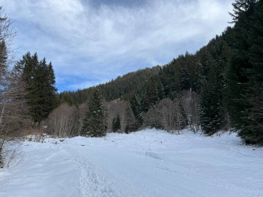 İsviçre Alplerinde tipik bir kış atmosferindeki alp ağaçlarının resimli gölgeleri ve turizm beldesi Klosters - Kanton of Grisons, İsviçre (Kanton Graubuenden, Schweiz)