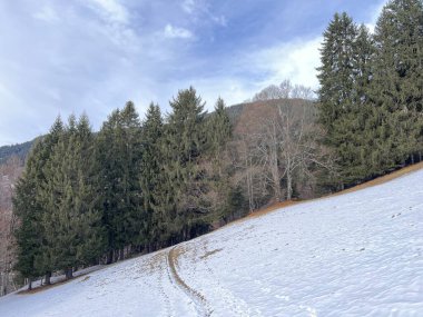 İsviçre Alplerinde tipik bir kış atmosferindeki alp ağaçlarının resimli gölgeleri ve turizm beldesi Klosters - Kanton of Grisons, İsviçre (Kanton Graubuenden, Schweiz)