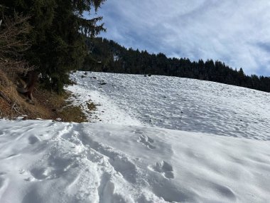 İsviçre Alpleri 'nin taze dağlık kar örtüsünde ve İsviçre' nin Grisonlar Kantonu (Kanton Graubuenden, Schweiz)