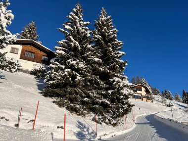 İsviçre Alplerinde tipik bir kış atmosferindeki alp ağaçlarının resimli gölgeleri ve İsviçre 'nin Grison Kantonu (Kanton Graubuenden, Schweiz)