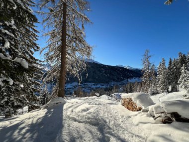 İsviçre Alplerinde tipik bir kış atmosferindeki alp ağaçlarının resimli gölgeleri ve İsviçre 'nin Grison Kantonu (Kanton Graubuenden, Schweiz)