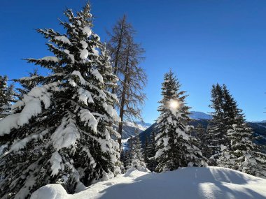 İsviçre Alplerinde tipik bir kış atmosferindeki alp ağaçlarının resimli gölgeleri ve İsviçre 'nin Grison Kantonu (Kanton Graubuenden, Schweiz)