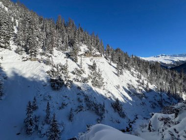 İsviçre Alplerinde tipik bir kış atmosferindeki alp ağaçlarının resimli gölgeleri ve İsviçre 'nin Grison Kantonu (Kanton Graubuenden, Schweiz)