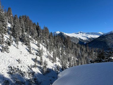 İsviçre Alplerinde tipik bir kış atmosferindeki alp ağaçlarının resimli gölgeleri ve İsviçre 'nin Grison Kantonu (Kanton Graubuenden, Schweiz)