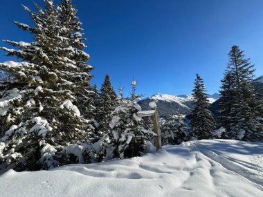 İsviçre Alplerinde tipik bir kış atmosferindeki alp ağaçlarının resimli gölgeleri ve İsviçre 'nin Grison Kantonu (Kanton Graubuenden, Schweiz)