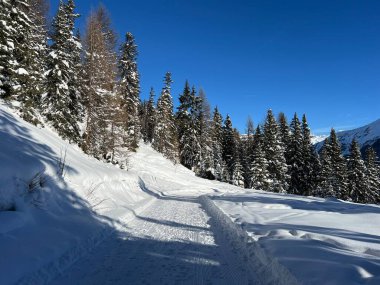 İsviçre 'nin Grisons Kantonu (Kanton Graubuenden, Schweiz) adlı İsviçre Alpleri' ndeki Davos tatil beldesinde yürüyüş, yürüyüş, yürüyüş, spor ve dinlenme için mükemmel düzenlenmiş kış patikaları.)
