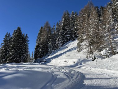 İsviçre 'nin Grisons Kantonu (Kanton Graubuenden, Schweiz) adlı İsviçre Alpleri' ndeki Davos tatil beldesinde yürüyüş, yürüyüş, yürüyüş, spor ve dinlenme için mükemmel düzenlenmiş kış patikaları.)