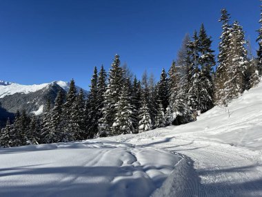 İsviçre 'nin Grisons Kantonu (Kanton Graubuenden, Schweiz) adlı İsviçre Alpleri' ndeki Davos tatil beldesinde yürüyüş, yürüyüş, yürüyüş, spor ve dinlenme için mükemmel düzenlenmiş kış patikaları.)