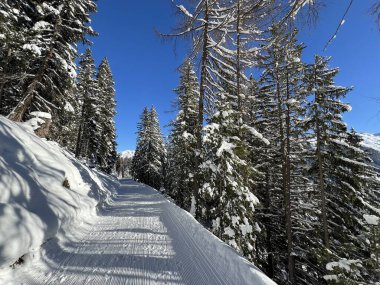 İsviçre 'nin Grisons Kantonu (Kanton Graubuenden, Schweiz) adlı İsviçre Alpleri' ndeki Davos tatil beldesinde yürüyüş, yürüyüş, yürüyüş, spor ve dinlenme için mükemmel düzenlenmiş kış patikaları.)