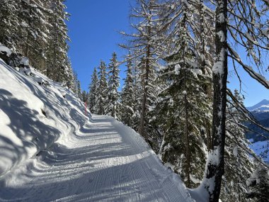 İsviçre 'nin Grisons Kantonu (Kanton Graubuenden, Schweiz) adlı İsviçre Alpleri' ndeki Davos tatil beldesinde yürüyüş, yürüyüş, yürüyüş, spor ve dinlenme için mükemmel düzenlenmiş kış patikaları.)