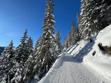İsviçre 'nin Grisons Kantonu (Kanton Graubuenden, Schweiz) adlı İsviçre Alpleri' ndeki Davos tatil beldesinde yürüyüş, yürüyüş, yürüyüş, spor ve dinlenme için mükemmel düzenlenmiş kış patikaları.)
