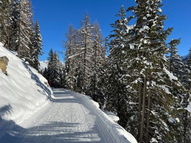 İsviçre 'nin Grisons Kantonu (Kanton Graubuenden, Schweiz) adlı İsviçre Alpleri' ndeki Davos tatil beldesinde yürüyüş, yürüyüş, yürüyüş, spor ve dinlenme için mükemmel düzenlenmiş kış patikaları.)