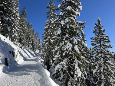 İsviçre 'nin Grisons Kantonu (Kanton Graubuenden, Schweiz) adlı İsviçre Alpleri' ndeki Davos tatil beldesinde yürüyüş, yürüyüş, yürüyüş, spor ve dinlenme için mükemmel düzenlenmiş kış patikaları.)