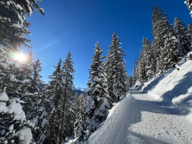 İsviçre 'nin Grisons Kantonu (Kanton Graubuenden, Schweiz) adlı İsviçre Alpleri' ndeki Davos tatil beldesinde yürüyüş, yürüyüş, yürüyüş, spor ve dinlenme için mükemmel düzenlenmiş kış patikaları.)