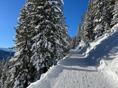 İsviçre 'nin Grisons Kantonu (Kanton Graubuenden, Schweiz) adlı İsviçre Alpleri' ndeki Davos tatil beldesinde yürüyüş, yürüyüş, yürüyüş, spor ve dinlenme için mükemmel düzenlenmiş kış patikaları.)