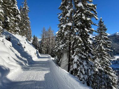 İsviçre 'nin Grisons Kantonu (Kanton Graubuenden, Schweiz) adlı İsviçre Alpleri' ndeki Davos tatil beldesinde yürüyüş, yürüyüş, yürüyüş, spor ve dinlenme için mükemmel düzenlenmiş kış patikaları.)