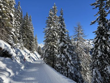 İsviçre 'nin Grisons Kantonu (Kanton Graubuenden, Schweiz) adlı İsviçre Alpleri' ndeki Davos tatil beldesinde yürüyüş, yürüyüş, yürüyüş, spor ve dinlenme için mükemmel düzenlenmiş kış patikaları.)