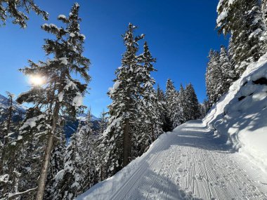 İsviçre 'nin Grisons Kantonu (Kanton Graubuenden, Schweiz) adlı İsviçre Alpleri' ndeki Davos tatil beldesinde yürüyüş, yürüyüş, yürüyüş, spor ve dinlenme için mükemmel düzenlenmiş kış patikaları.)