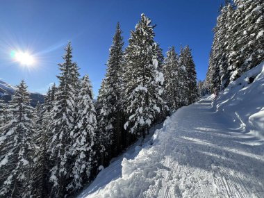 İsviçre 'nin Grisons Kantonu (Kanton Graubuenden, Schweiz) adlı İsviçre Alpleri' ndeki Davos tatil beldesinde yürüyüş, yürüyüş, yürüyüş, spor ve dinlenme için mükemmel düzenlenmiş kış patikaları.)