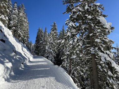 İsviçre 'nin Grisons Kantonu (Kanton Graubuenden, Schweiz) adlı İsviçre Alpleri' ndeki Davos tatil beldesinde yürüyüş, yürüyüş, yürüyüş, spor ve dinlenme için mükemmel düzenlenmiş kış patikaları.)