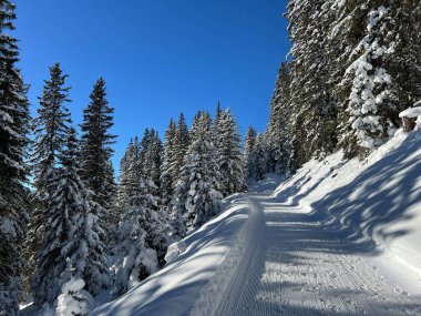 İsviçre 'nin Grisons Kantonu (Kanton Graubuenden, Schweiz) adlı İsviçre Alpleri' ndeki Davos tatil beldesinde yürüyüş, yürüyüş, yürüyüş, spor ve dinlenme için mükemmel düzenlenmiş kış patikaları.)