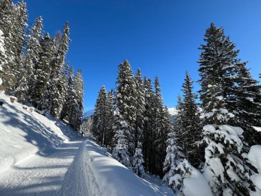 İsviçre 'nin Grisons Kantonu (Kanton Graubuenden, Schweiz) adlı İsviçre Alpleri' ndeki Davos tatil beldesinde yürüyüş, yürüyüş, yürüyüş, spor ve dinlenme için mükemmel düzenlenmiş kış patikaları.)